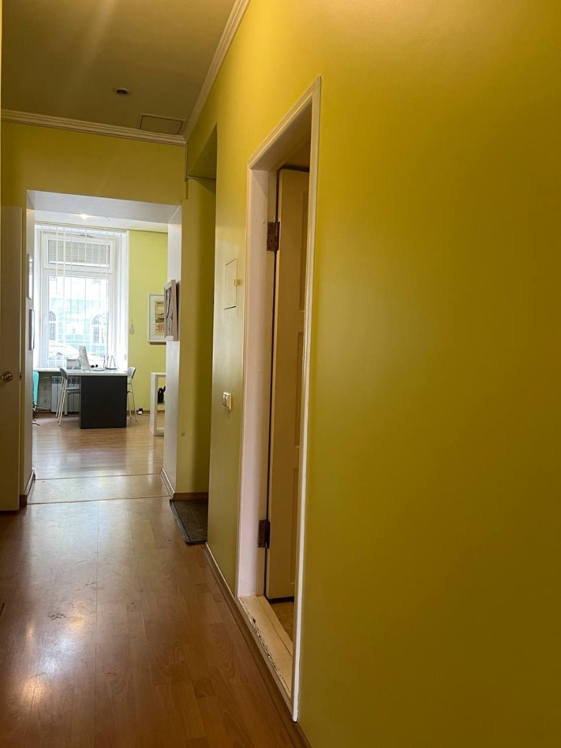 продажа магазина номер C-174108 в Приморском районе, фото номер 17